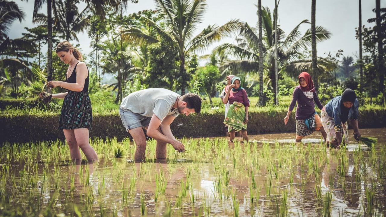 Mu Homestay Tetebatu Esterno foto