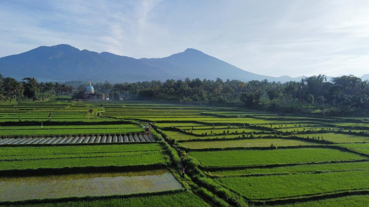 Mu Homestay Tetebatu Esterno foto