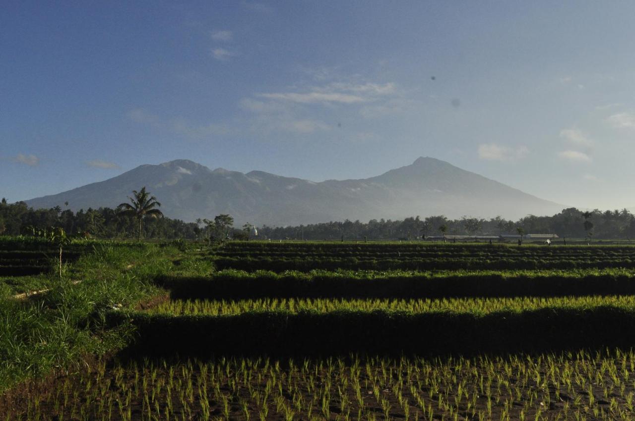 Mu Homestay Tetebatu Esterno foto