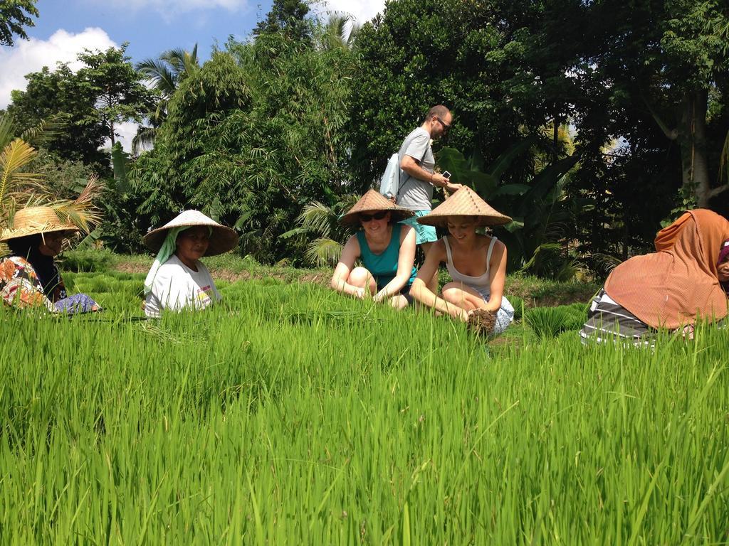 Mu Homestay Tetebatu Esterno foto